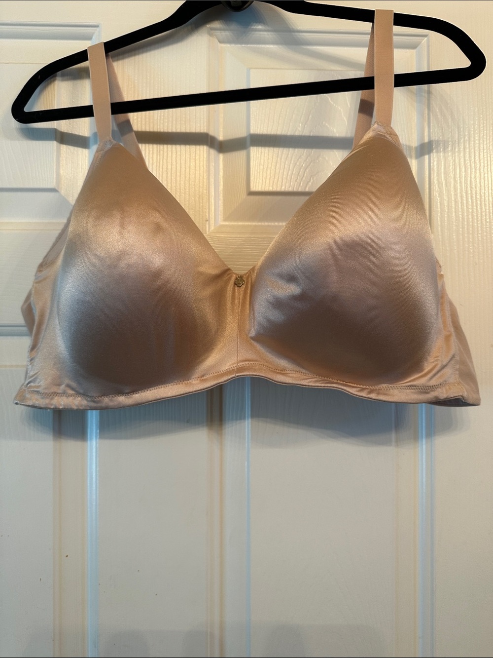 Breezies Nude Satin-Look Wireless Bra